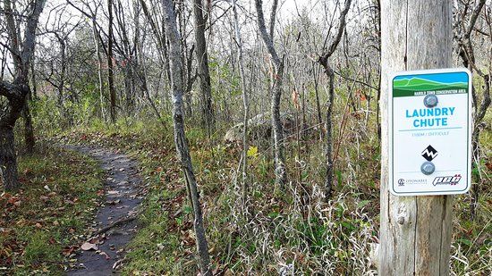 Harold Town Conservation Area